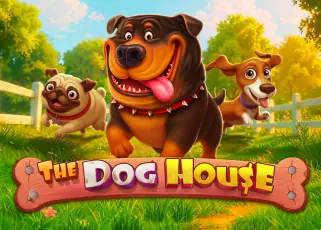 lava191 The Dog House ทดลองเล่นฟรี